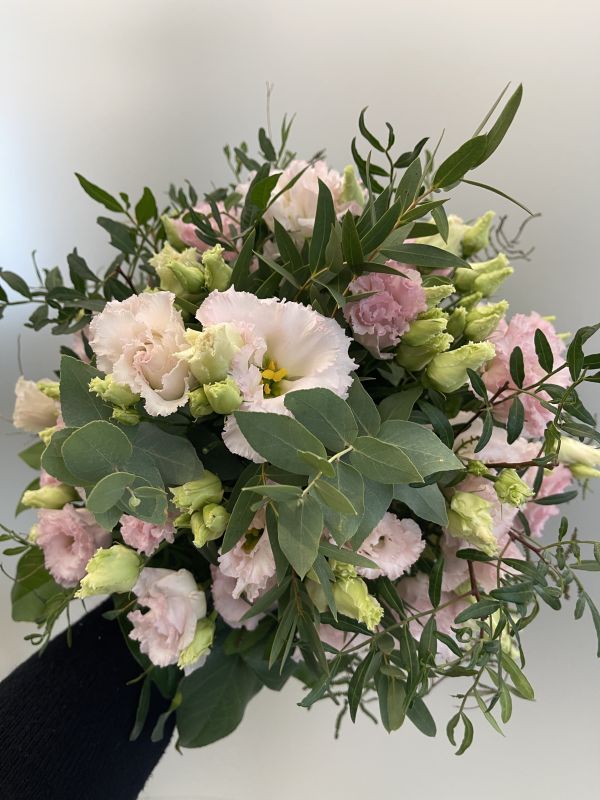 Offer #10118081761569840