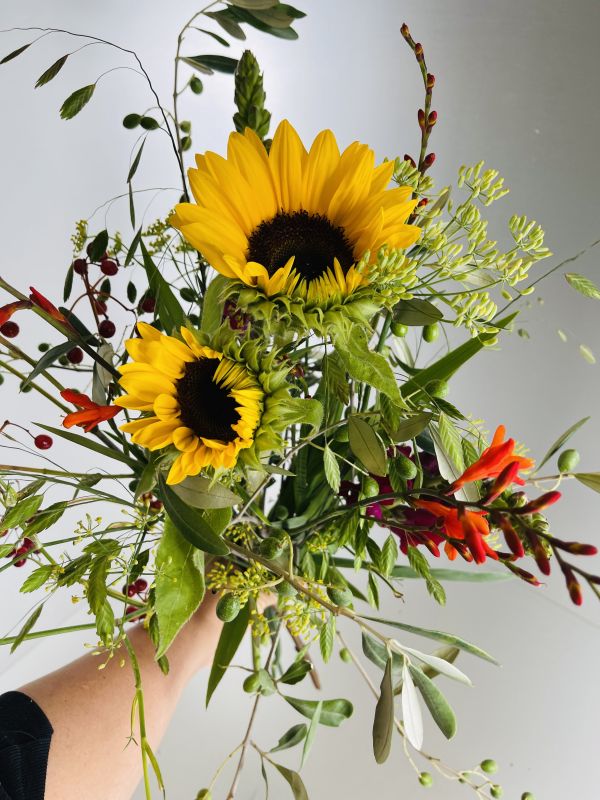 Angebot #10877251755396002