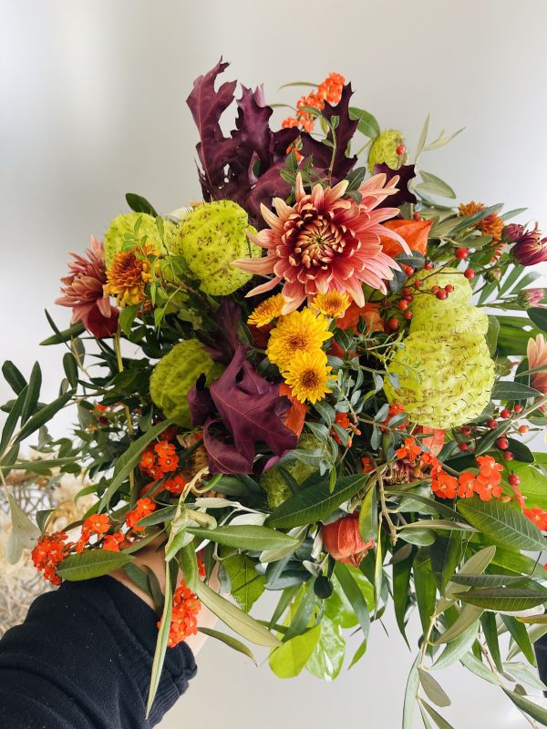 Offer #11517451761661023