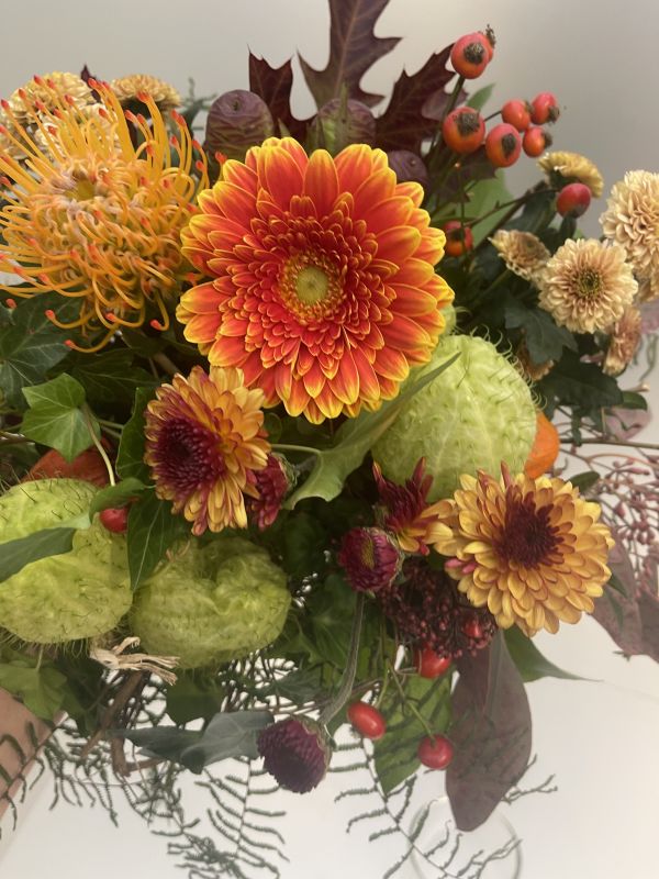 Offer #12018471761136139