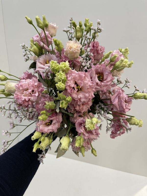 Offer #20611671731558902