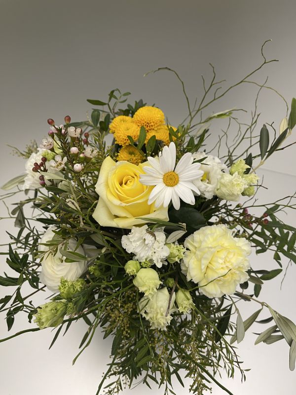 Offer #23848151736258582