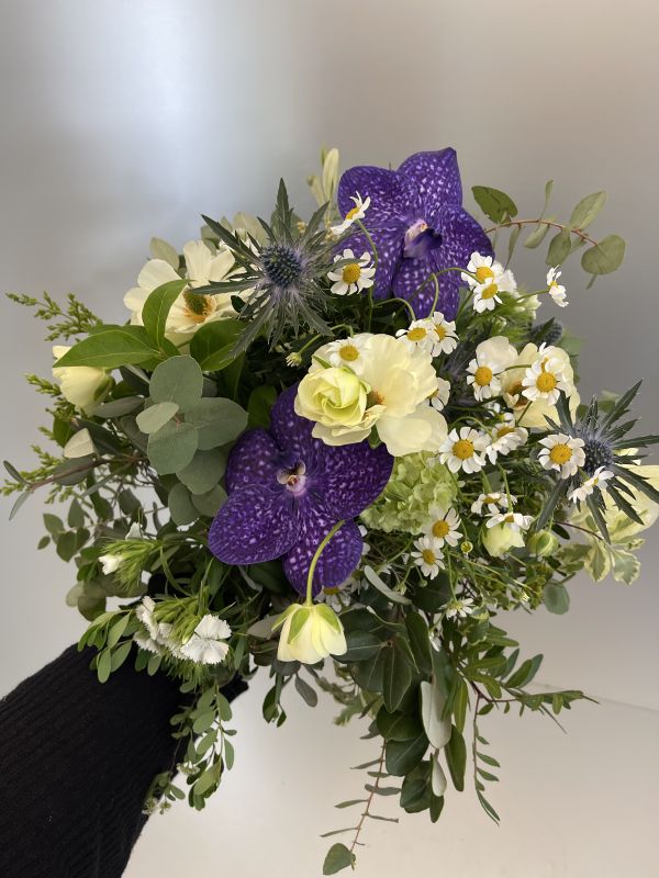 Angebot #24556711778201034