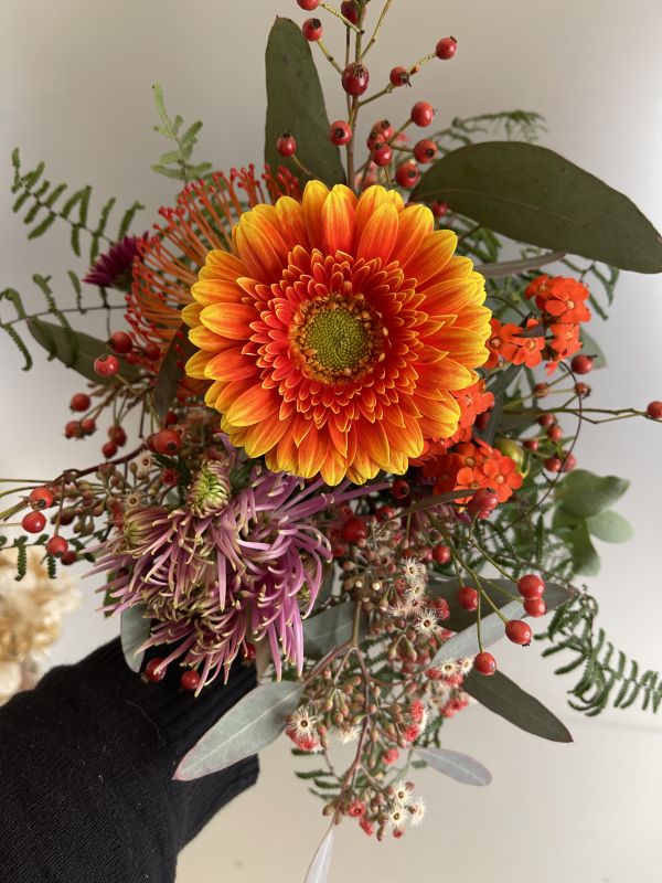 Offer #27202181761524702