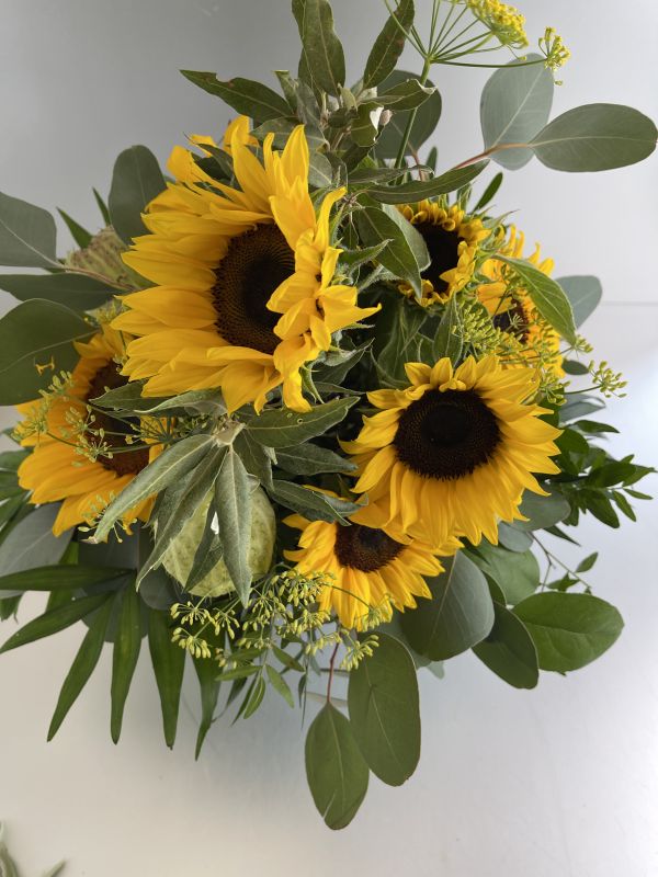 Angebot #28980361755582063