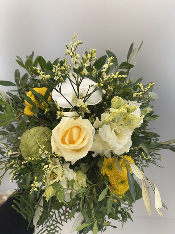 Offer #32573461761664364