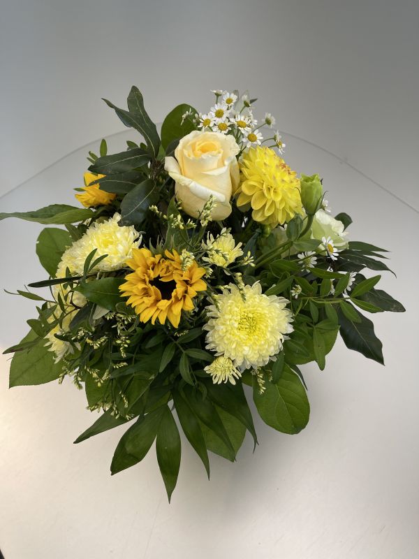 Offer #34428671760770578