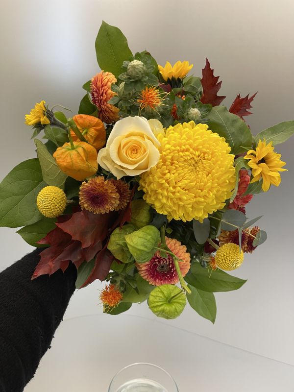 Offer #34773721761034950