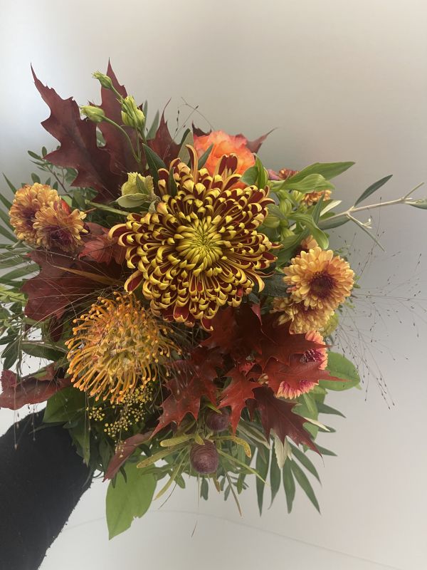 Offer #36238561761208218