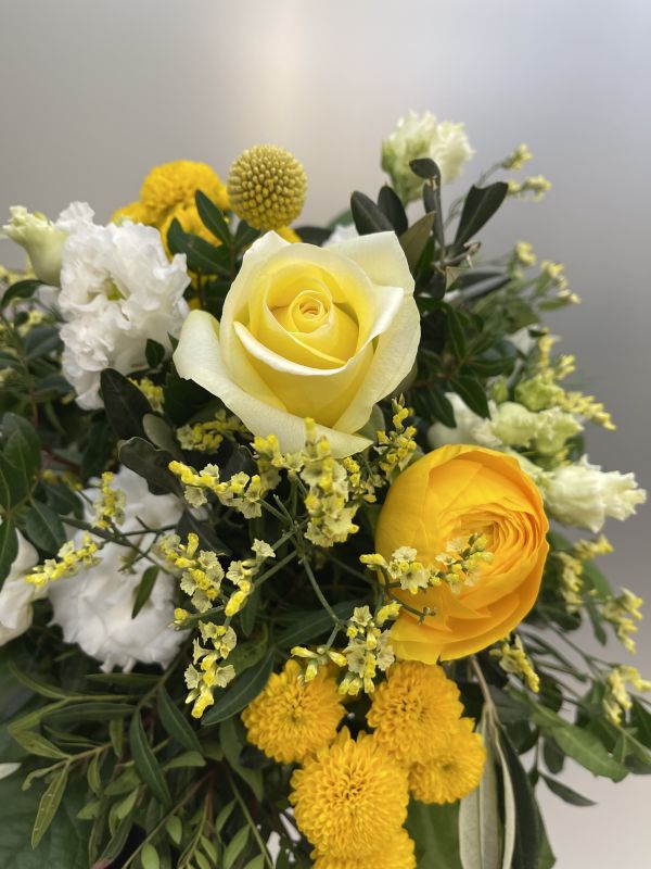 Offer #38370631736330649