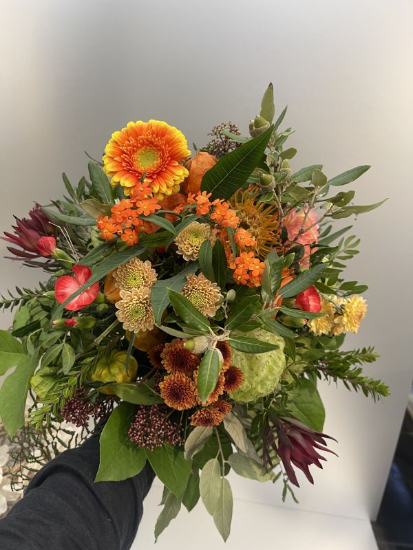 Offer #39840741761653089