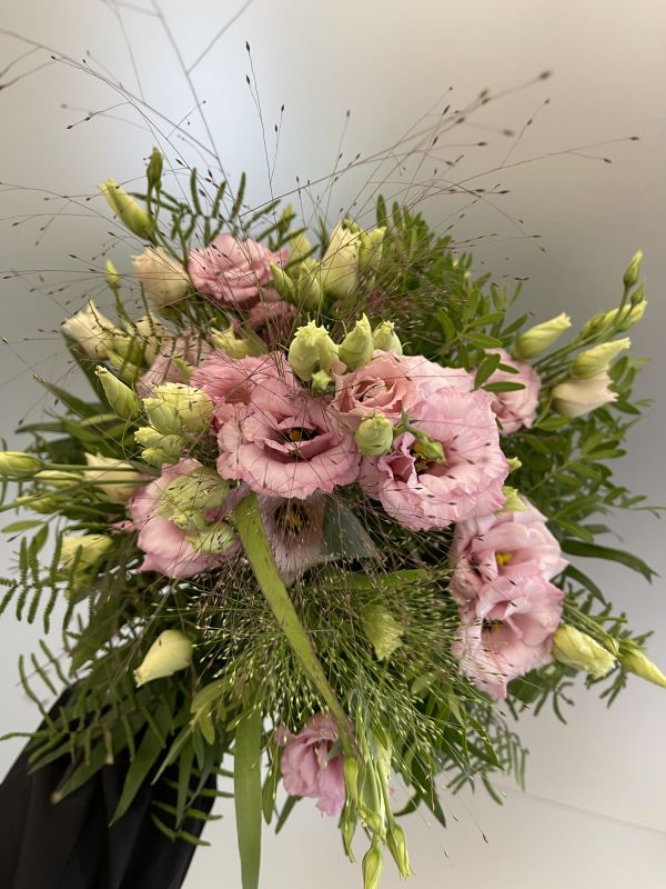 Offer #43063871756287820