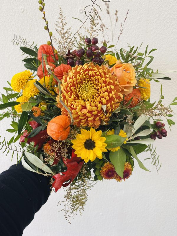 Angebot #43800581729755987