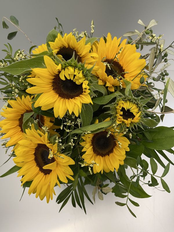 Offer #46646221755590392