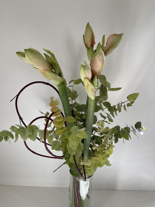 Offre #47407891732571267