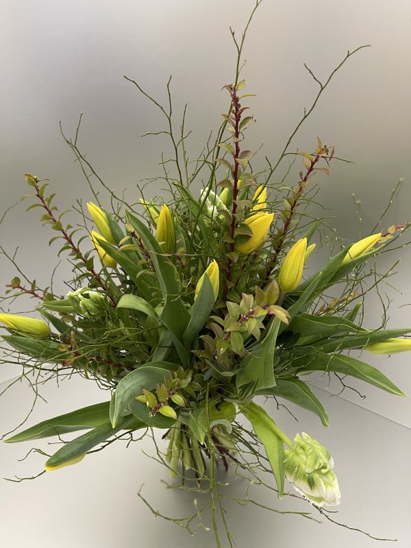 Angebot #47723901736187421