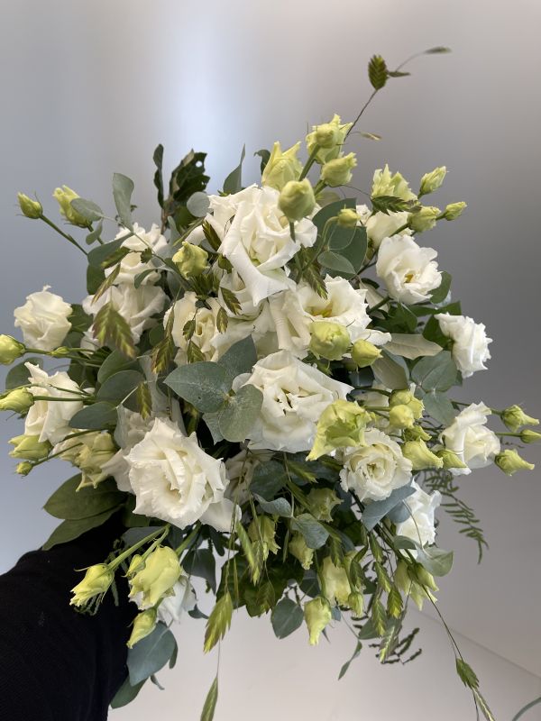 Offer #52698761758615364