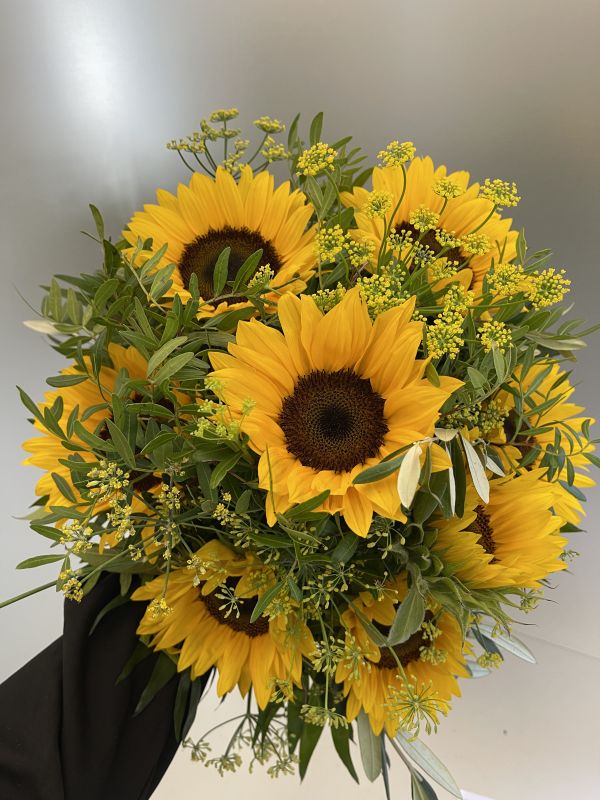 Offer #53891511756087749