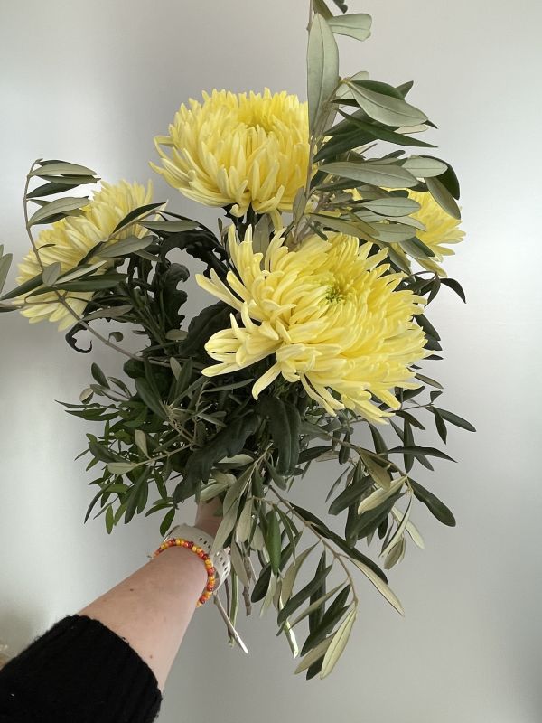 Offer #54995171762155603