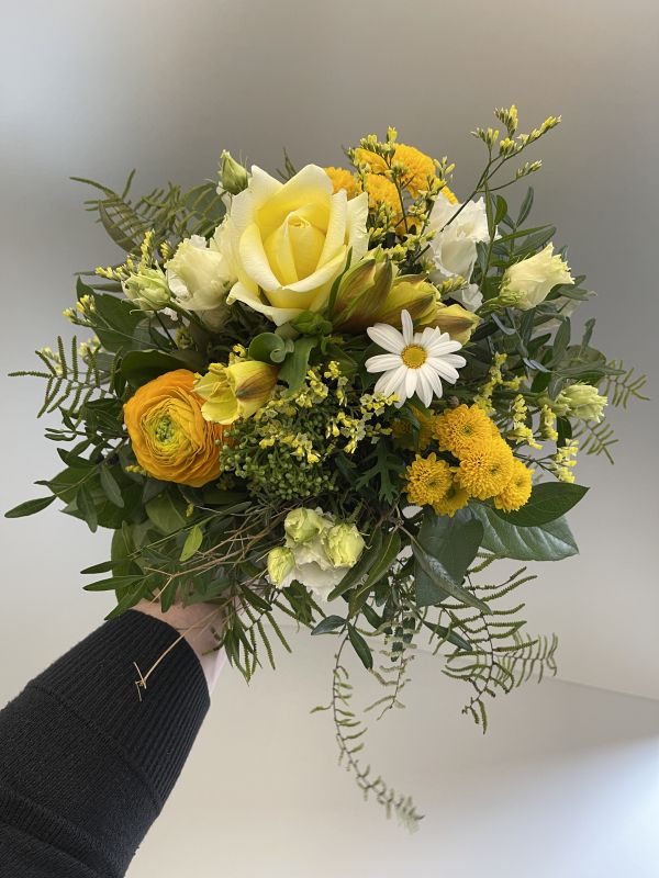 Offre #56076051736163571