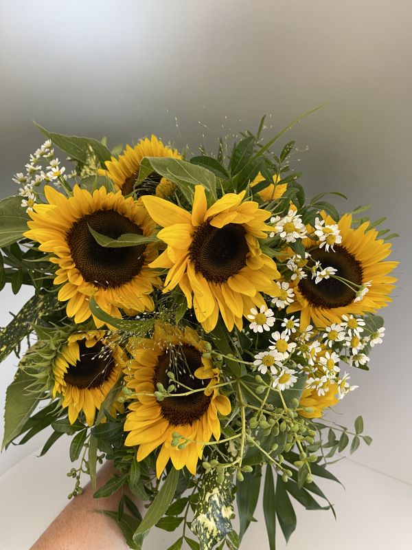 Offer #57475281756278347