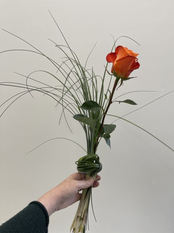 Offer #58074331731242485