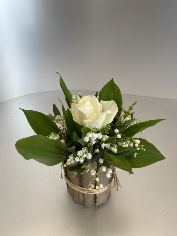 Angebot #60296621778169247