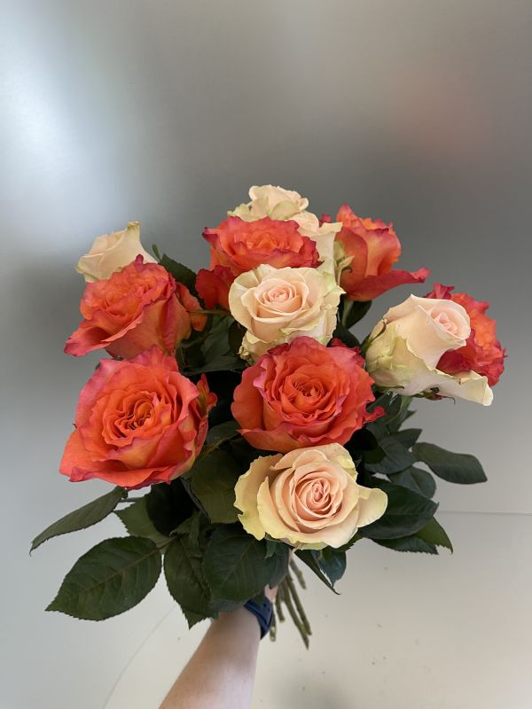 Offer #62934671755368353