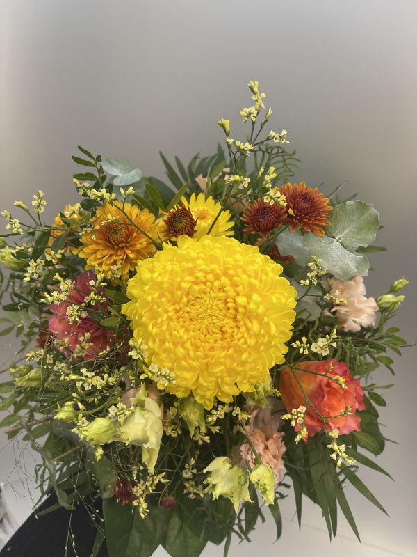 Offer #63295531761097502