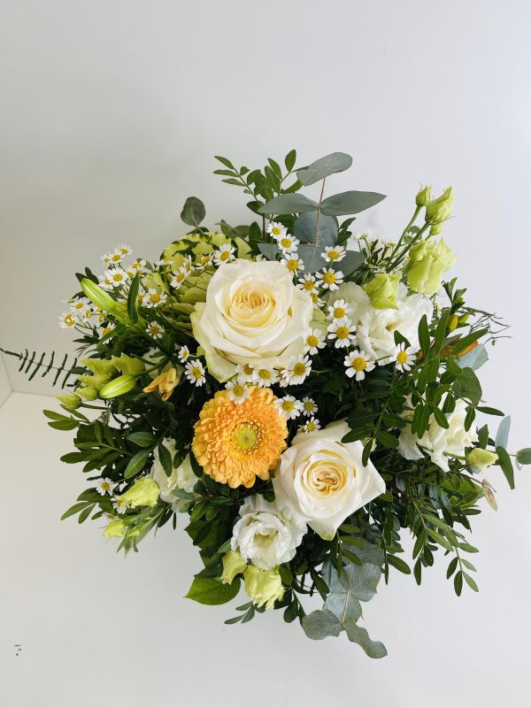 Offer #65187891731491590