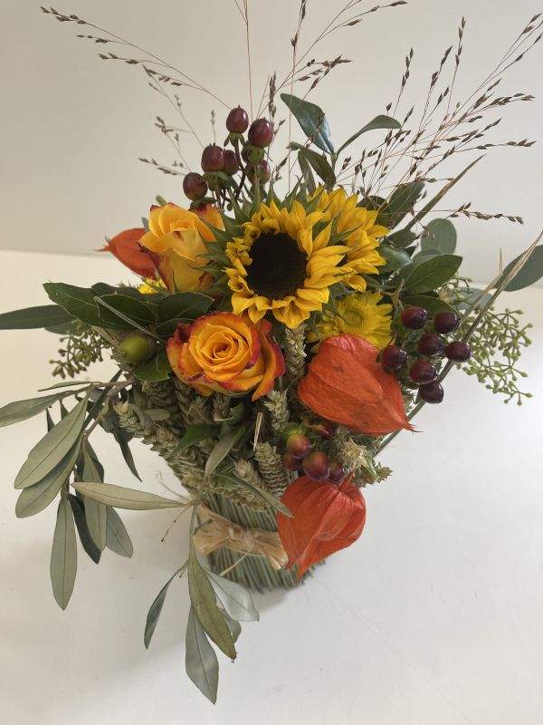 Angebot #66548731729759764