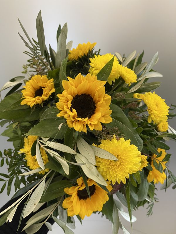 Offer #67197431759566863