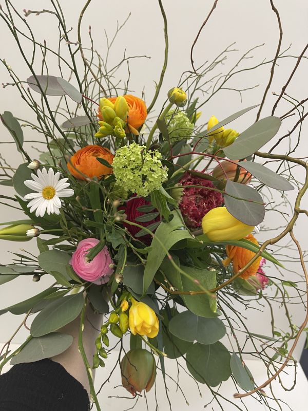 Offre #67336121711443026