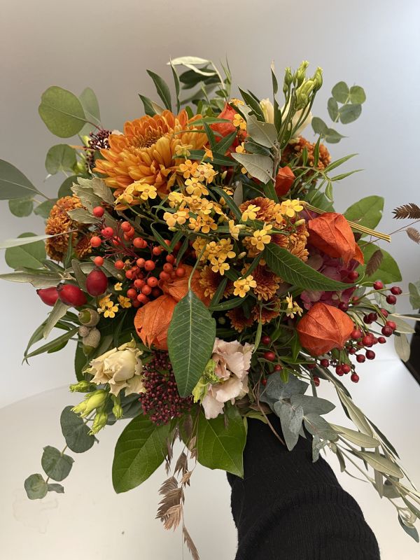 Offer #69534591762243008