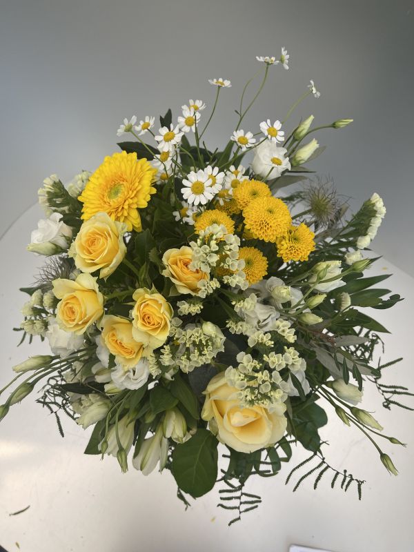 Angebot #70531551777693488