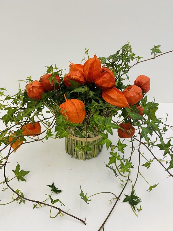 Offre #71028181729602986