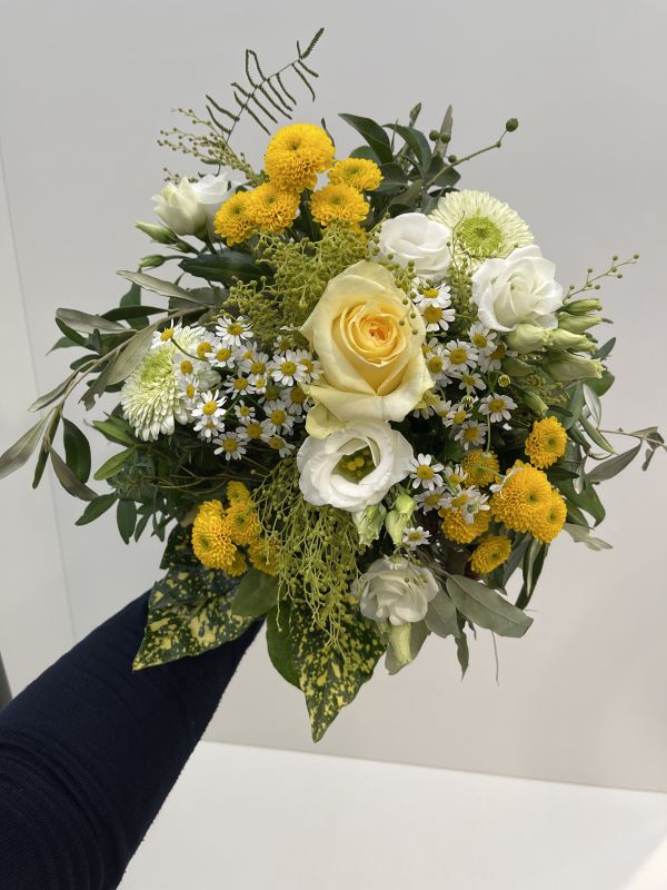 Offer #71994051731964525