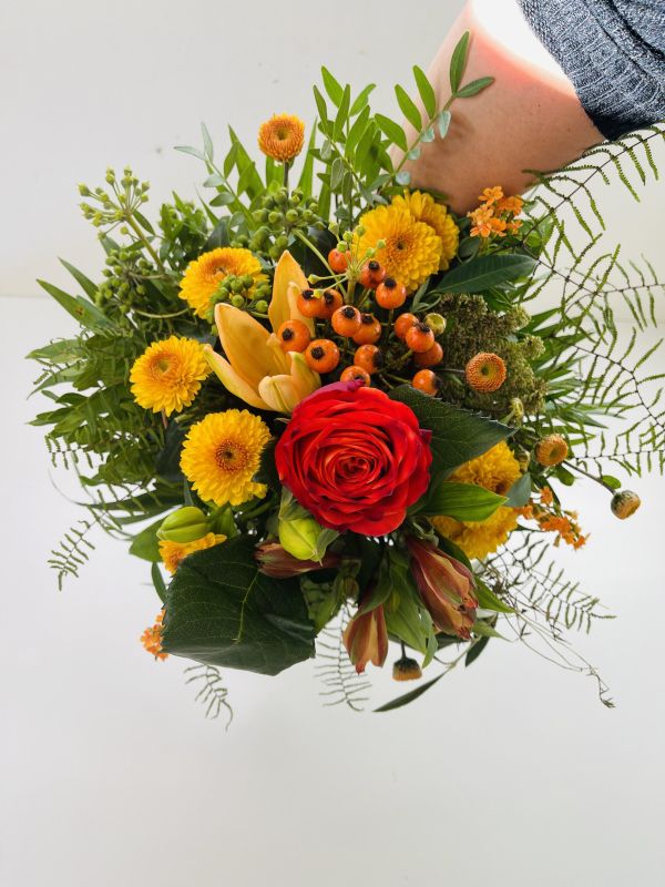 Angebot #73498111729350853