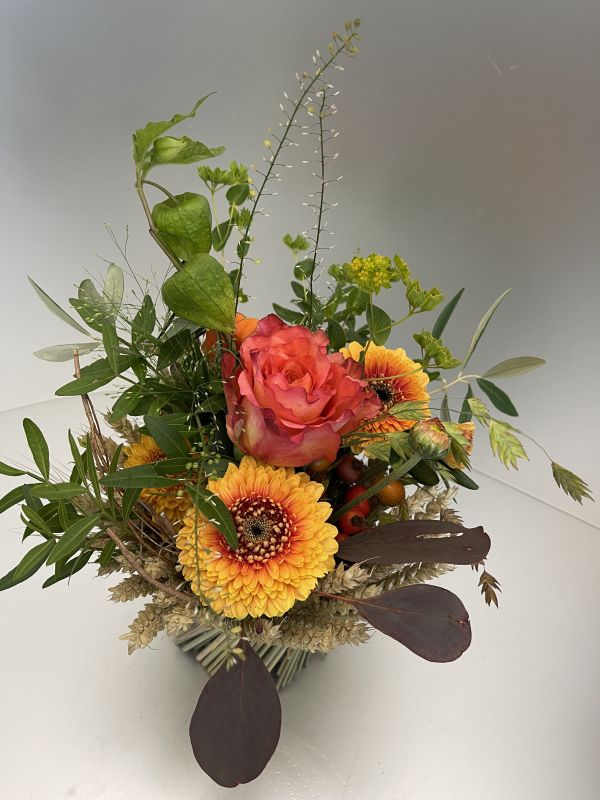 Offer #73907151759523428