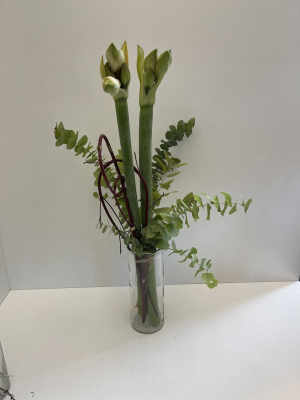 Offer #74355441731570018