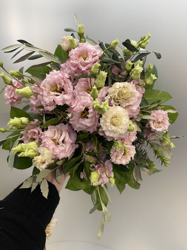 Offer #75635911762194858