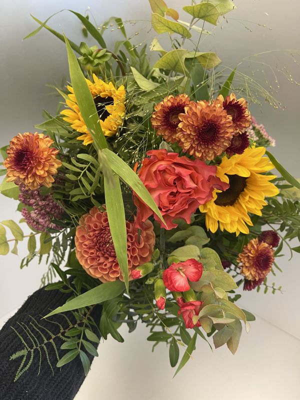 Offer #76232811758926701