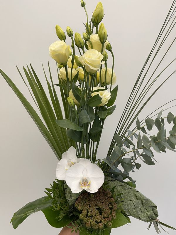 Offer #76244251727077232