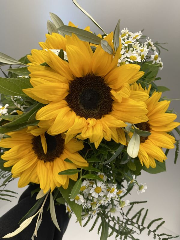 Offer #77715491758619929