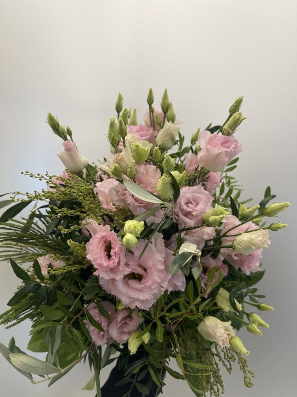 Offer #78354591761744902