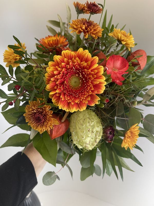 Offer #81900121761201936