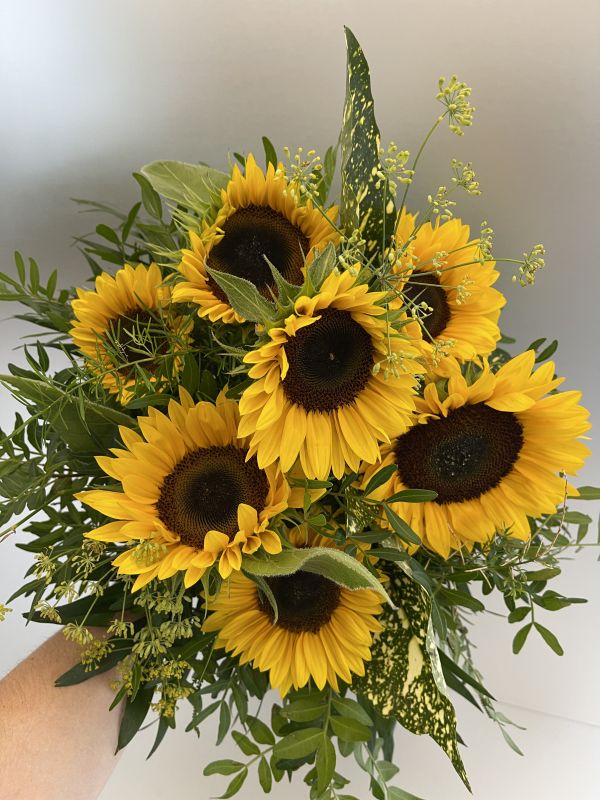 Offer #83597291756229597