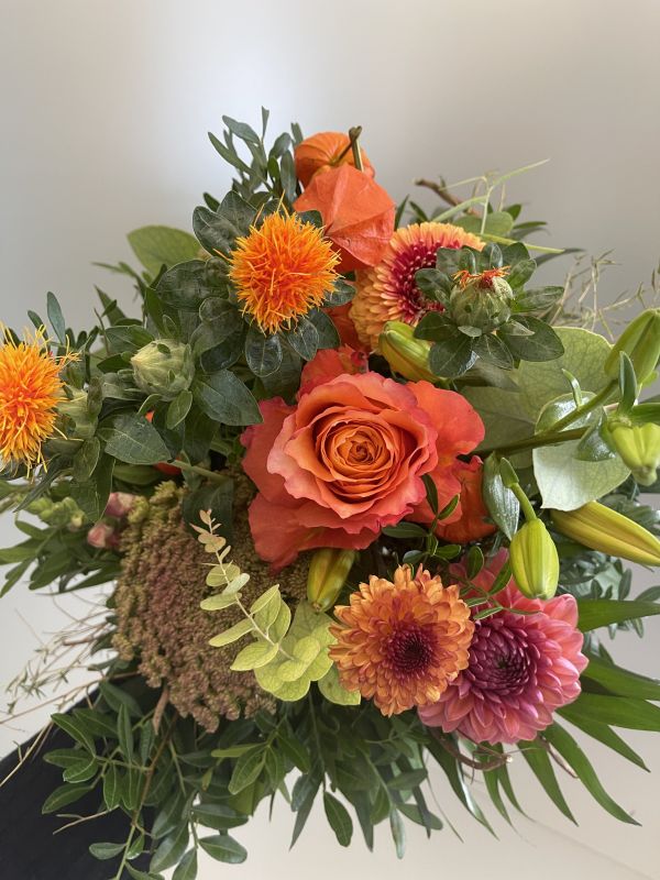 Angebot #86488681758898633