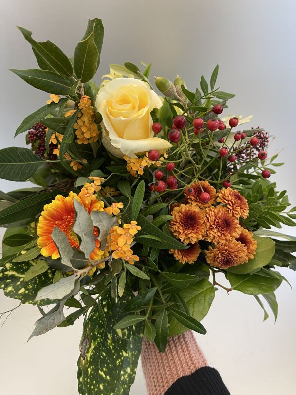 Offer #87192891762244812