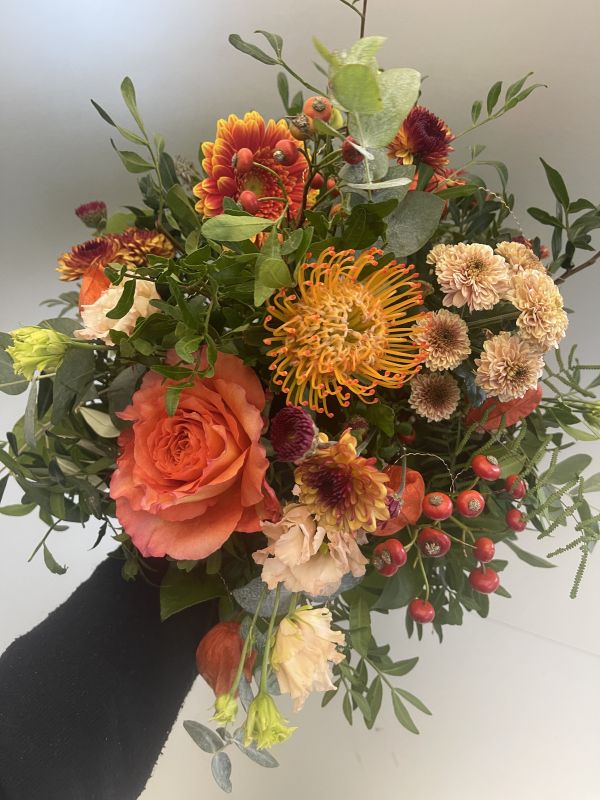 Offer #87954521761221915